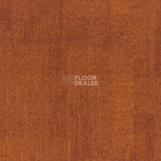Ковровая плитка Rudiments Коллекция Teak Teak 273 фото 1 | FLOORDEALER